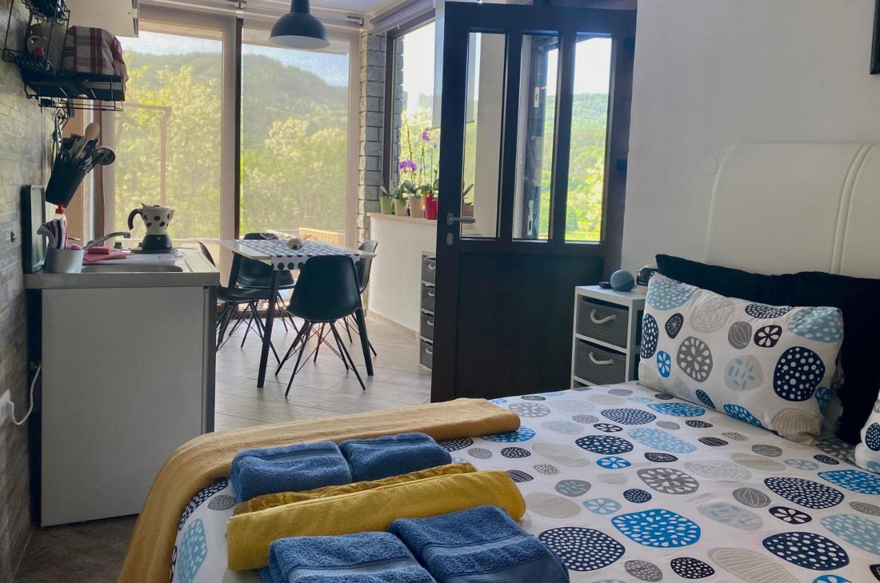 Apartman Verona ブゼト エクステリア 写真
